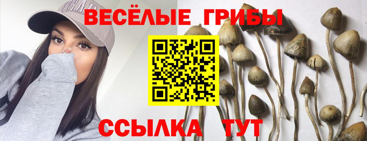 Кемерово  Галлюциногенные грибы мухоморы  Вход с VPN 